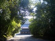 michiruさんの御寺泉涌寺の投稿写真1