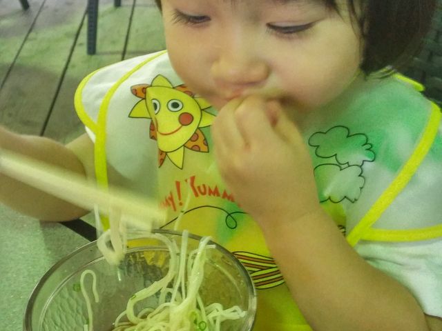 大好きなそうめん。ネギはセルフサービス。_ジョイフルランド宮田石花水木