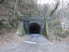 おさむくんさんの天城山隧道(通称:旧天城トンネル)への投稿写真1