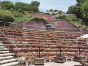 たけさんの半田山植物園の投稿写真1