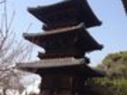 たけさんの本蓮寺の投稿写真1