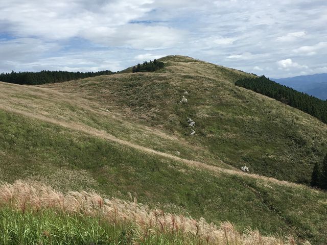 生石高原_生石高原