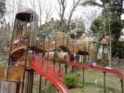 アーキさんの昭和の森の投稿写真1