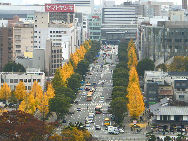 姫路城から見た大手前通り 姫路駅に向かって左側が東側歩道_大手前通り東側歩道