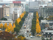 イルカくんさんの大手前通り東側歩道の投稿写真1