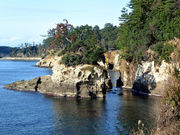 イルカくんさんの荒磯遊歩道の投稿写真2