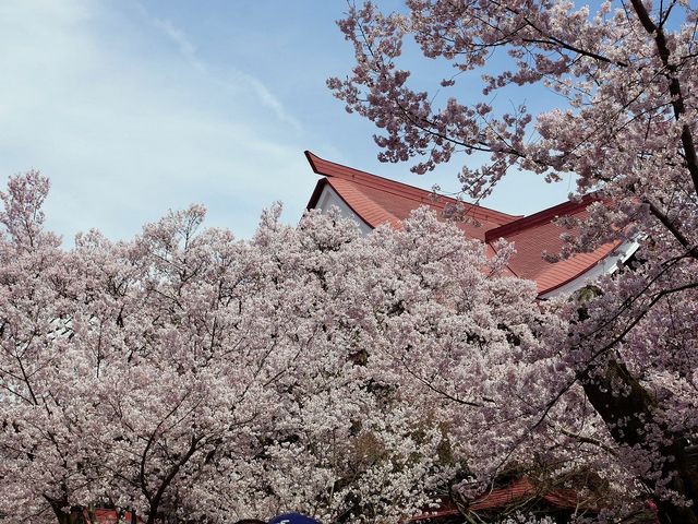 登録有形文化財「高遠閣」_高遠城址公園