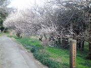 のほほん気分さんの北本自然観察公園の投稿写真1