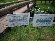 るぴやんさんの浮島の投稿写真1