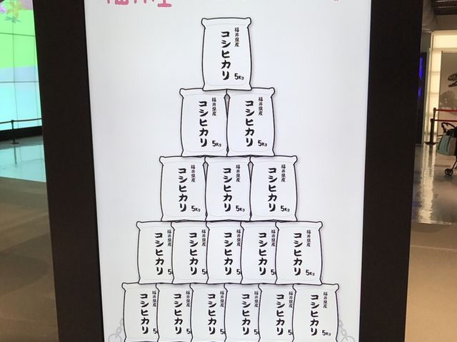 自分の体重を他で例えると?_福井県児童科学館エンゼルランドふくい