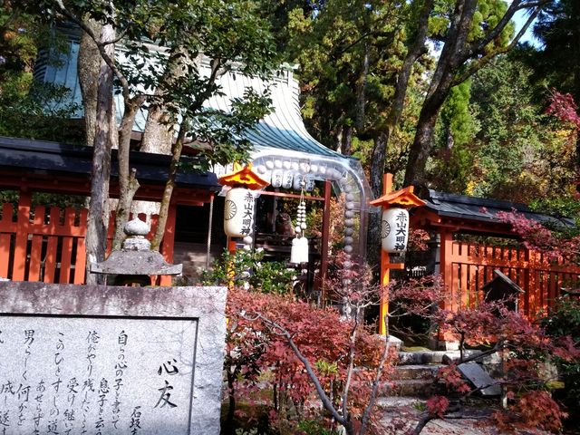 鮮やかな紅葉です。_赤山禅院