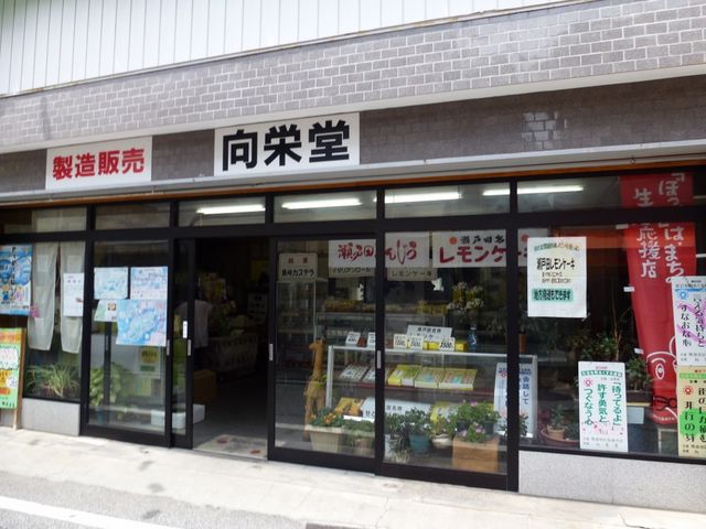 向栄堂_向栄堂