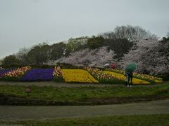 鶴亀松竹梅扇さんの名城公園への投稿写真1