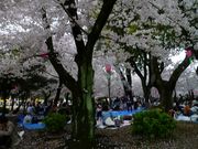 鶴亀松竹梅扇さんの鶴舞公園の投稿写真1
