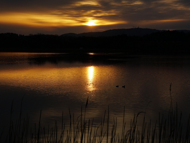 北潟湖のよあけ_北潟湖