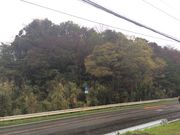 ガチャコさんの尾高城跡梅園の投稿写真1