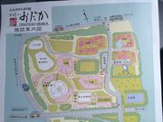 ガチャコさんの尾高城跡梅園の投稿写真2