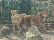 yutaさんの伊豆アニマルキングダムの投稿写真2