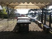 m-nodyさんの大川山キャンプ場の投稿写真4