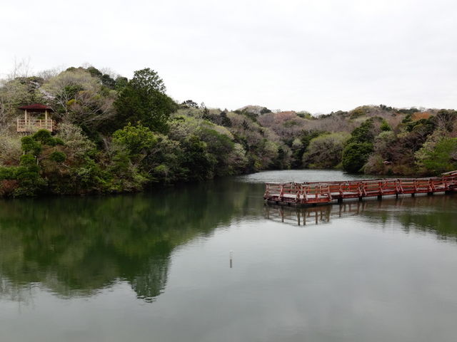 しどーさんの千鳥ケ谷池の投稿写真1