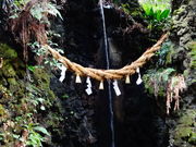 しどーさんの大師山自然観察の森の投稿写真1