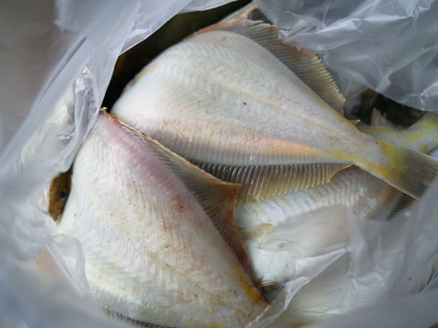 なっちさんのあつた港朝市の投稿写真1