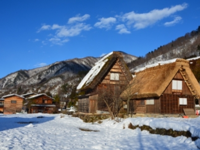 より多くの雪_野外博物館 合掌造り民家園