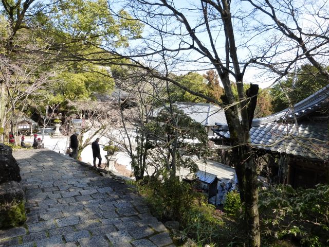 竹林寺_竹林寺