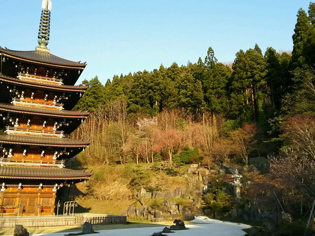 枯山水のような庭の奥に建っています。_青龍寺 五重塔