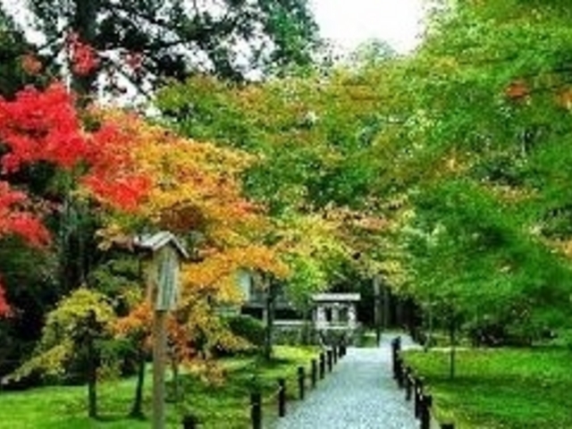 秋の大原_大原