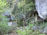 いわぴいさんの三佛寺納経堂の投稿写真1