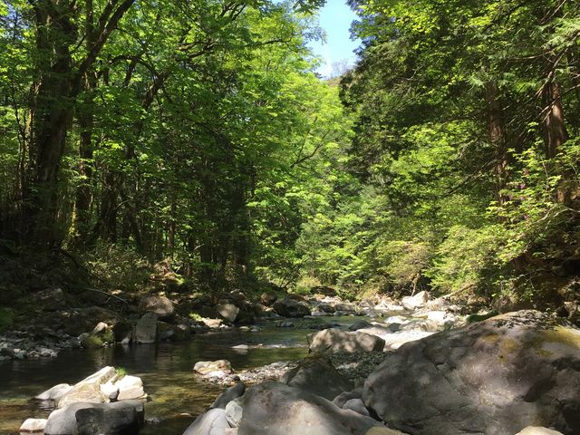 イワダイさんの根尾の滝の投稿写真6