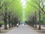 レナさんの光が丘公園の投稿写真1
