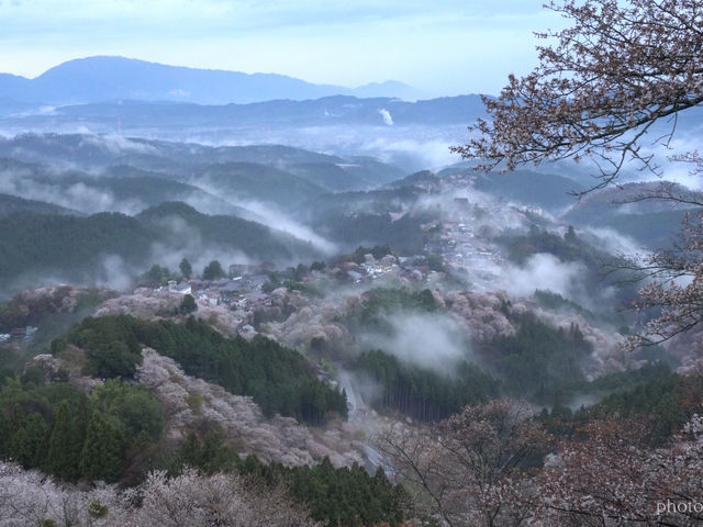 OSHIZUさんの花矢倉展望台の投稿写真1