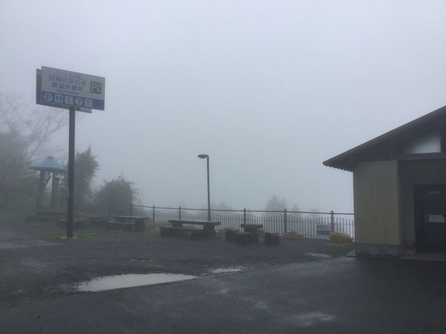 杉尾はなのき