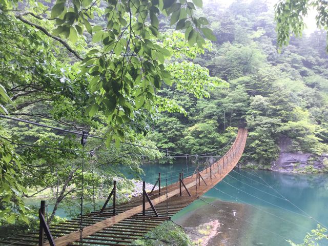 マイBOOさんの大間ダム湖の投稿写真1