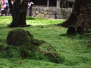 harusuさんの三千院の投稿写真2