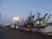 キヨさんの釧路漁港の投稿写真1