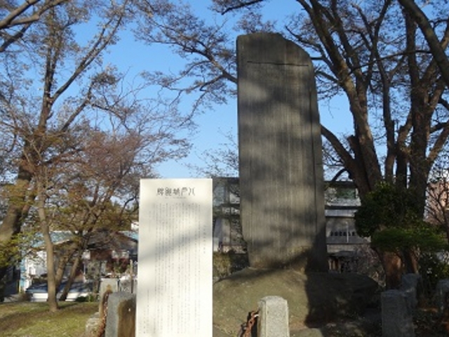 八戸城跡_八戸城跡(三八城公園)