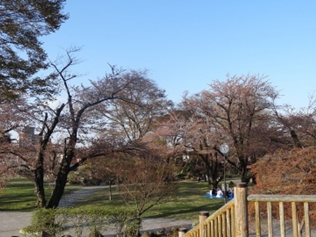八戸城跡_八戸城跡(三八城公園)