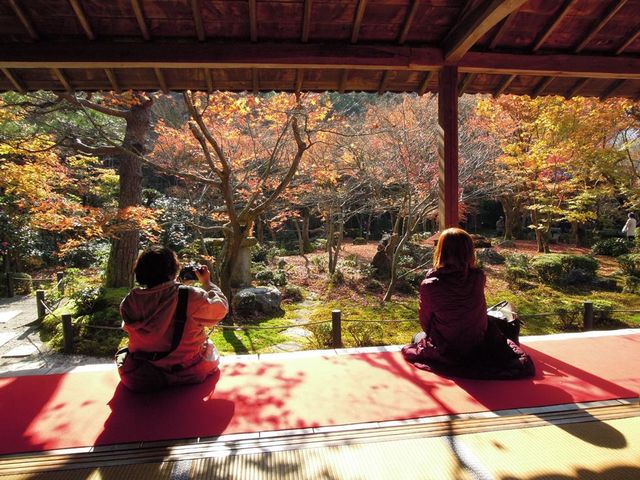 もうせんから見る紅葉は時間を忘れる_圓光寺