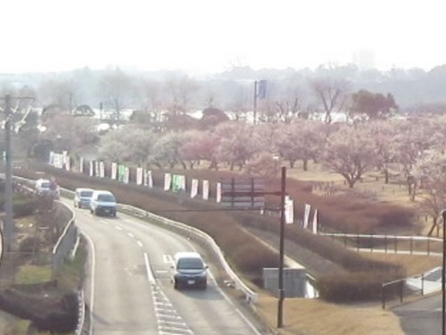 湖_千波公園