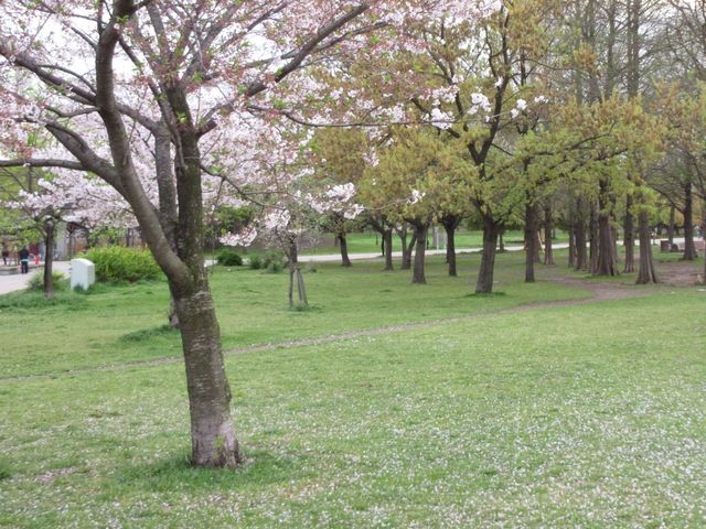 公園_夕日の丘の売店