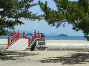 ルイさんの津田の松原の投稿写真1