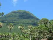 てつきちさんの開聞山麓自然公園の投稿写真5