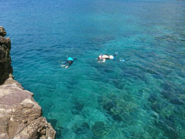 びっくりするほど海がキレイです!!!_天草海辺の自然学校