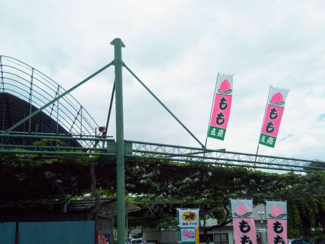 『山梨県一宮町の桃狩り』_一宮町エリア桃・ぶどう狩り