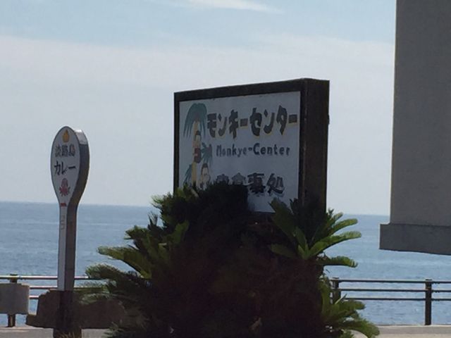 カレー&タコの天ぷら!_ちゃりこ