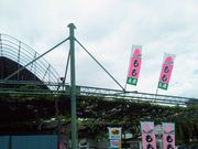 usaさんの一宮町エリア桃・ぶどう狩りの投稿写真1