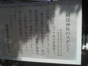 さとけんさんの川俣神社のスダジイの投稿写真2